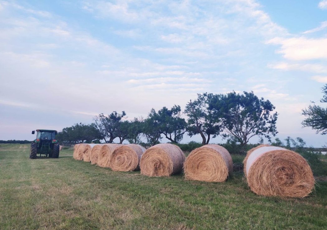 Round hay bales and a tractor on Frank's ranch at dusk